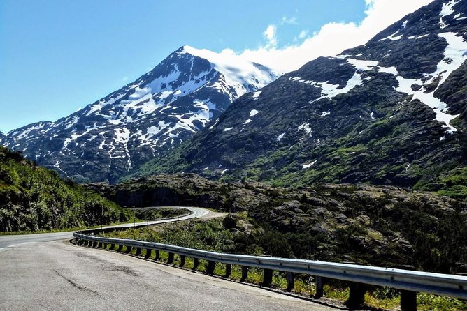 Skagway Shore Excursion: White Pass Summit and Skagway City Tour - The guide makes the difference