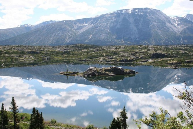 Skagway Shore Excursion: Yukon Discovery Tour - Wildlife sightings depend on sharp eyes and luck