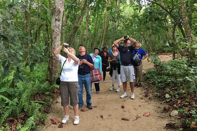 Sloths Lovers Tour. Puerto Limon Shore Excursion - Why this Puerto Limón excursion is worth considering