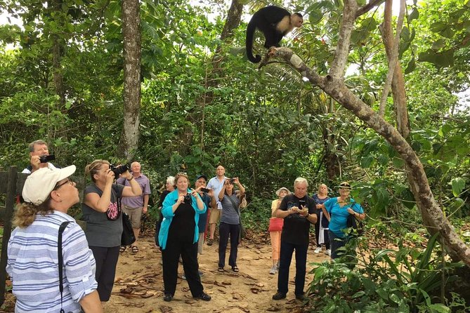 Sloths Lovers Tour. Puerto Limon Shore Excursion - Should you book the Sloths Lovers Tour?