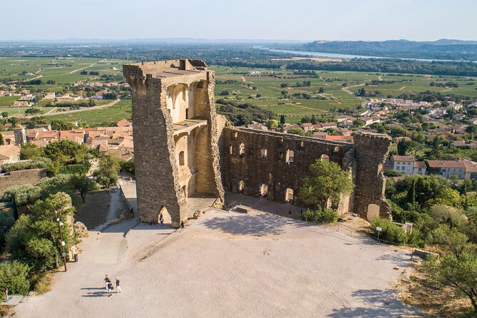 Small Group Marseille Shore Excursion : Avignon & Chateauneuf du Pape Wine Tour - Three hours inside Avignon