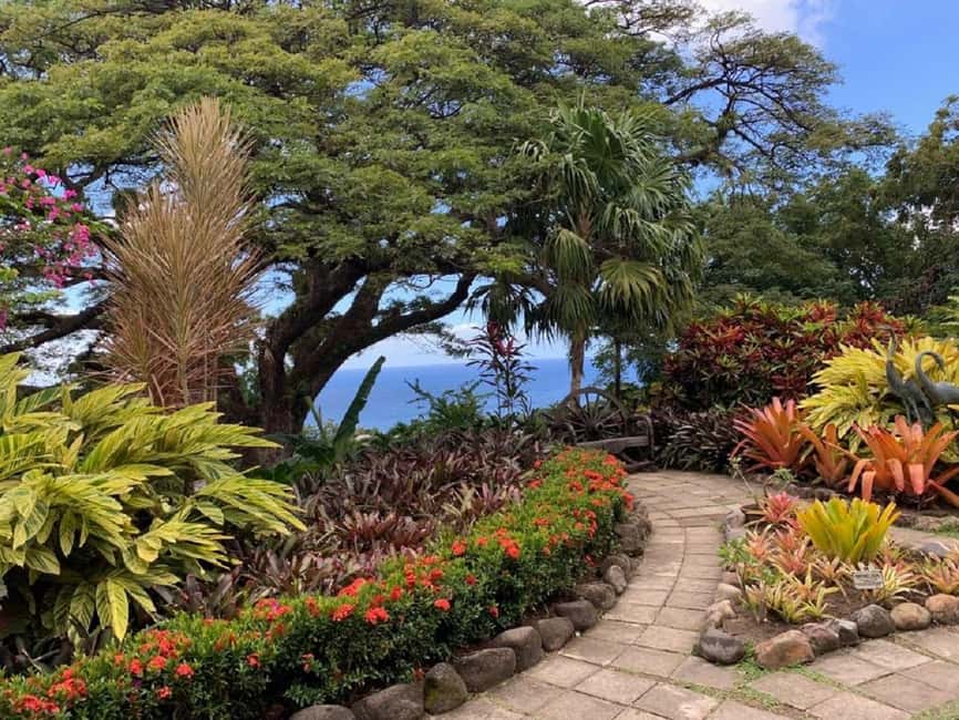 St. Kitts: Private Island Highlights Shore Excursion - Why this private St. Kitts tour works well