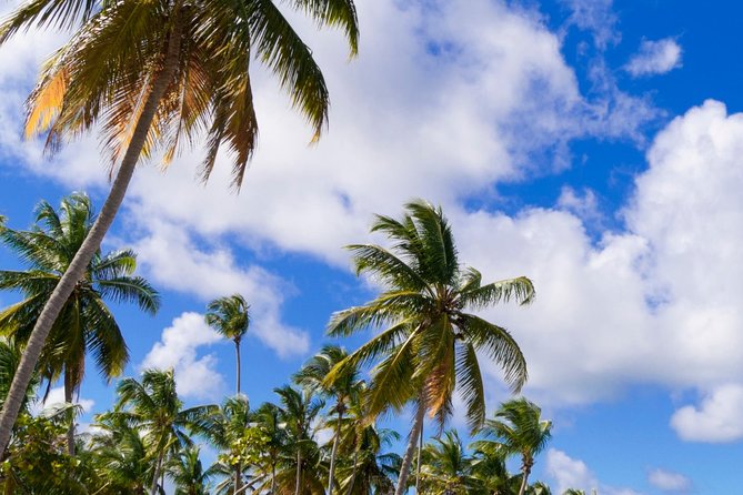 St Maarten Shore Excursion: Orient and Maho Beach Half-Day Tour - Orient Bay gives you the calmer beach stop