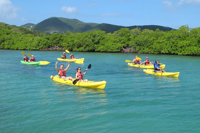 St Thomas Shore Excursion: Mangrove Lagoon Kayak and Snorkel Tour - Quick take: what makes this tour worth your time