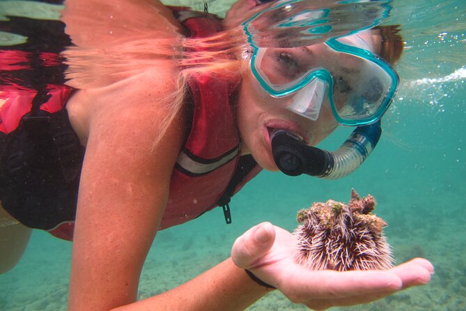 St Thomas Shore Excursion: Mangrove Lagoon Kayak and Snorkel Tour - Paddling into the Mangrove Lagoon