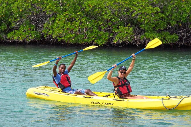 St Thomas Shore Excursion: Mangrove Lagoon Kayak and Snorkel Tour - What the $119 price really covers