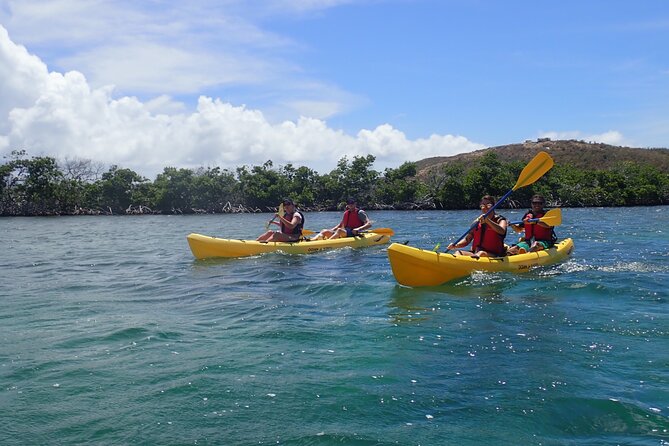 St Thomas Shore Excursion: Mangrove Lagoon Kayak and Snorkel Tour - Comfort, fitness, and what to pack