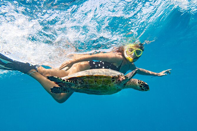 St Thomas Shore Excursion: Mangrove Lagoon Kayak and Snorkel Tour - Who should book this St. Thomas outing?