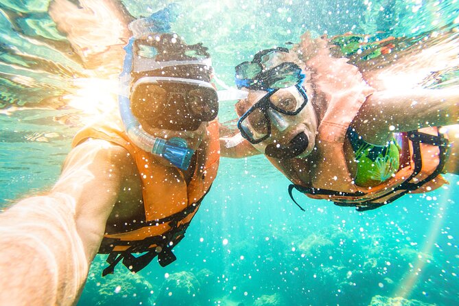 St Thomas Shore Excursion: Mangrove Lagoon Kayak and Snorkel Tour - Cas Cay and the optional nature hike