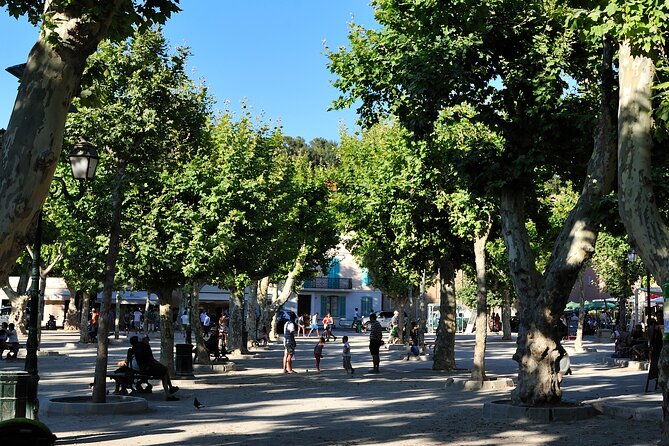 St-Tropez Day Tour from Cannes Small-Group and Shore Excursion - Practical details that can make the day easier
