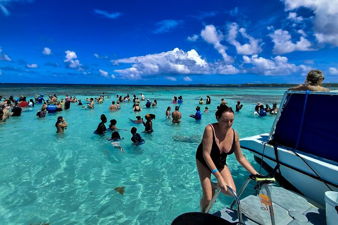 Stingray City Experience Antigua - Cruise Ship Passengers Edition - Key points at a glance