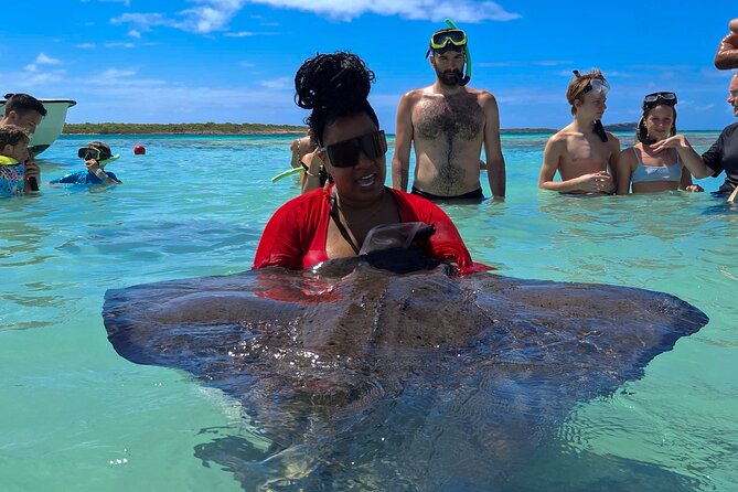 Stingray City Experience Antigua - Cruise Ship Passengers Edition - Why this is one of Antigua’s memorable shore trips