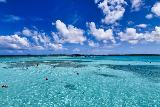 Stingray City Experience Antigua - Cruise Ship Passengers Edition - Drinks, photos, and what to bring