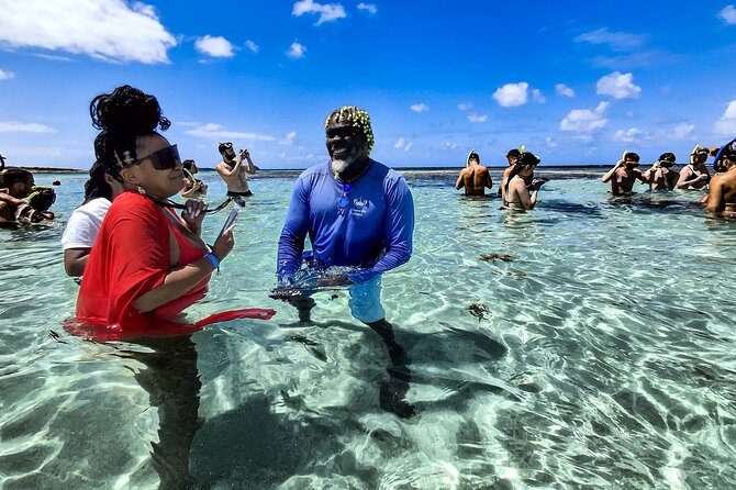 Stingray City Experience Antigua - Cruise Ship Passengers Edition - Weather, sea conditions, and cruise-day risk