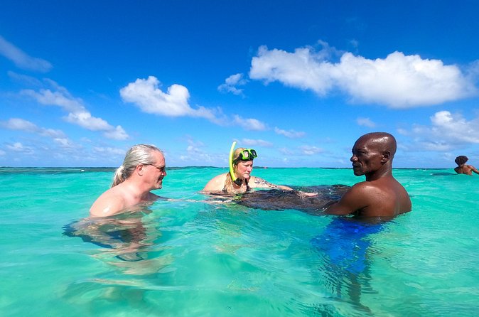 Stingray City Experience Antigua - Cruise Ship Passengers Edition - Who will enjoy this most