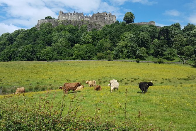 Stirling Castle, Trossachs and Loch Lomond Shore Excursion - Guides can make or break the day