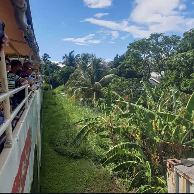 Sugar Train Tour & Drinks|Pick-Up &Drop Off From Cruise Port - The quick take