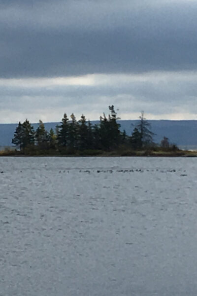 Highland Village & Bell Museum Cruise Excursion
