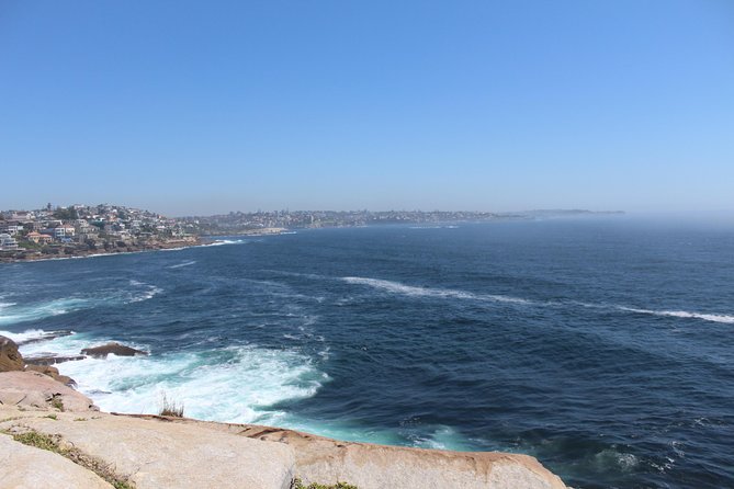 Sydney Shore Excursion: Half-Day Sydney City Highlights with Bondi Beach and Watsons Bay - Why this shore excursion works for a short Sydney visit