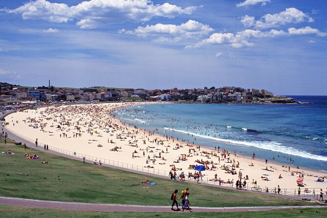 Sydney Shore Excursion: Half-Day Sydney City Highlights with Bondi Beach and Watsons Bay - Crossing central Sydney by minivan