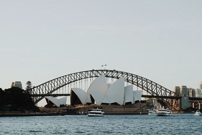 Sydney Shore Excursion: Sydney Opera House Walking Tour - Morning versus afternoon timing