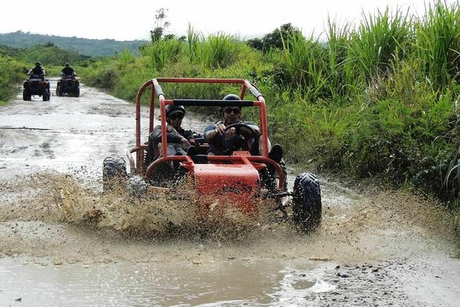 Taino Bay Shore Excursion - 2 person Buggy Tour - What the $117.18 price really covers