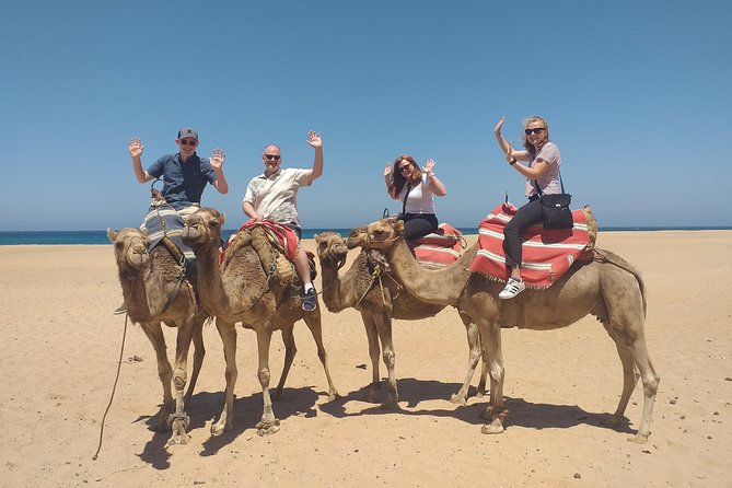Tangier Private Full Day Tour From The Cruise Ship all inclusive - Key points at a glance