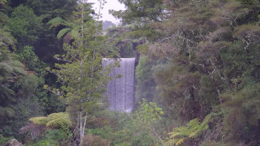 Tauranga: Kiwifruit Destination and Sights Shore Excursion - A coastal start around Mount Maunganui
