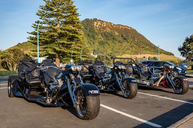 TAURANGA SHORE EXCURSION: Epic 25 min V8 Trike tour of Mt Maunganui & Tauranga - The 600-year-old Giant Pōhutukawa Tree