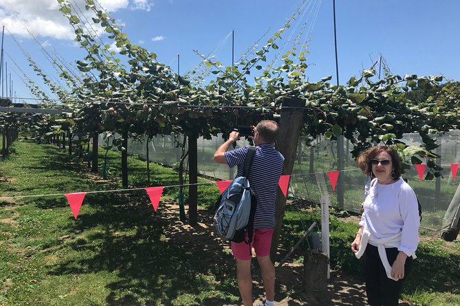 Tauranga Shore Excursion: History & Kiwifruit Tasting – 4 Hours - Key points to know before you book