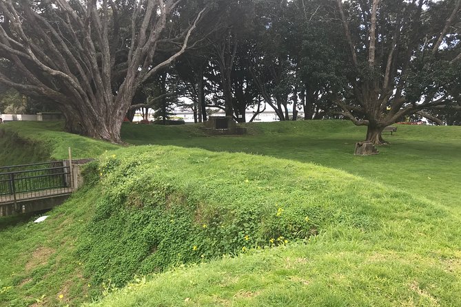 Tauranga Shore Excursion: History & Kiwifruit Tasting – 4 Hours - Comfort, timing, and value at $65.78