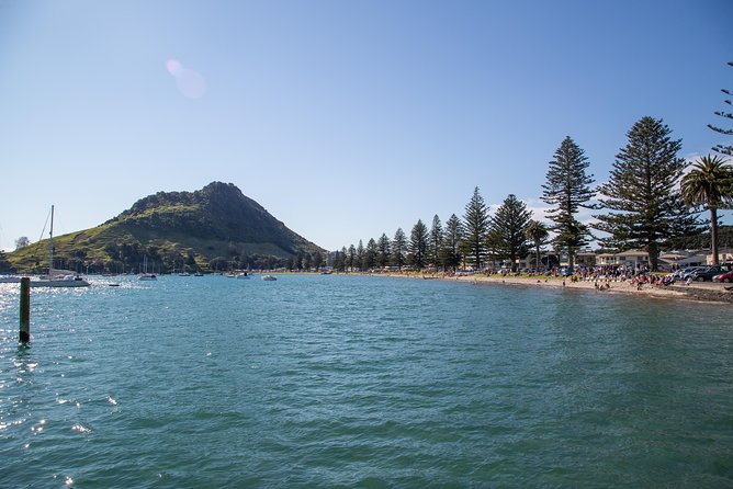 Tauranga Shore Excursion: History & Kiwifruit Tasting – 4 Hours - Crossing the harbor and seeing working Tauranga