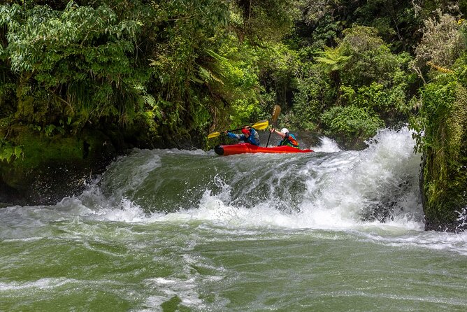 Tauranga Shore Excursion: Rotorua Highlights - Key points to know before you go