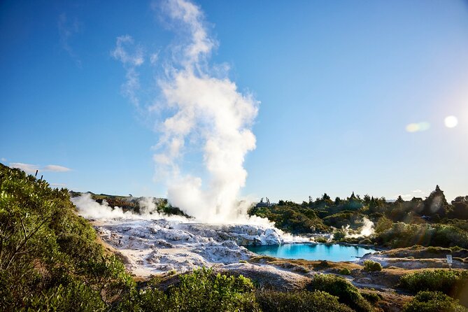 Tauranga Shore Excursion: Rotorua Highlights - Rotorua’s Government Gardens and lunch break