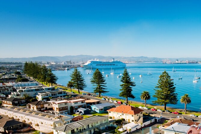 Tauranga Shore Excursion: Top Half Day Curated Highlights Tour - What this Tauranga tour is really trying to do