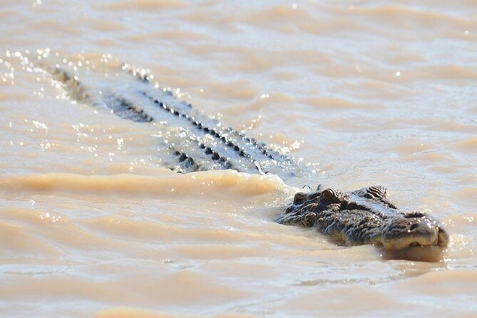 The Airlie Sightseeing Bus – (Cruise-Ship Friendly) - George’s Diner: burgers, shakes, and a retro pause