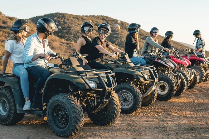Thrilling ATV Ride Through Vineyards with Port Pickup - Quick take: what makes this Baja outing special