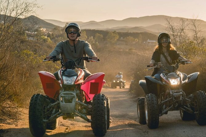 Thrilling ATV Ride Through Vineyards with Port Pickup - Lunch, wine, cheese, and olive oil: budget for extras