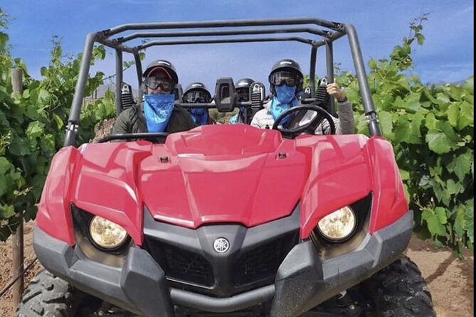 Thrilling ATV Ride Through Vineyards with Port Pickup - A practical look at the optional stops