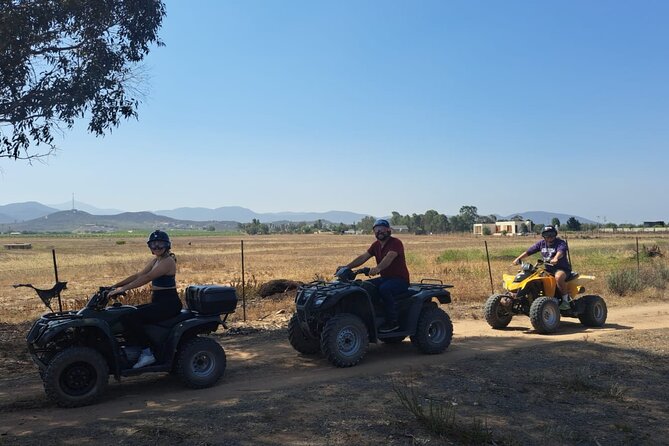 Thrilling ATV Ride Through Vineyards with Port Pickup - How the price compares with the value