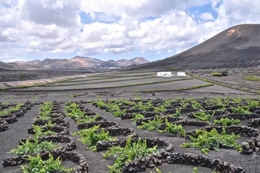Timanfaya And El Golfo For Cruise Passengers (Mornings) - Meeting your guide at the port