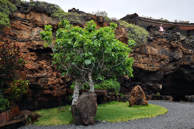 Tour of Jameos del Agua Viewpoint and Valley of 1000 Palm Trees for cruise passengers - Who will enjoy this excursion most