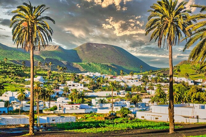 Tour of Jameos del Agua Viewpoint and Valley of 1000 Palm Trees for cruise passengers - Booking details and cancellation timing