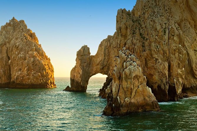 Tour to Arch in the only Clear Boat in Cabo Cruise Hotel PICKUP! - What the clear boat adds to a Cabo harbor cruise
