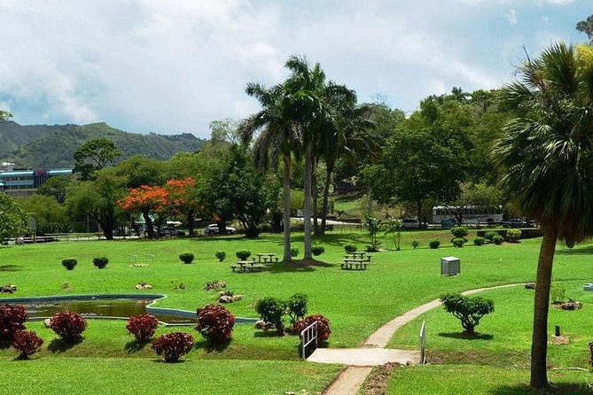 Trinidad Highlights Tour from Port of Spain - A short walk through the Royal Botanical Gardens