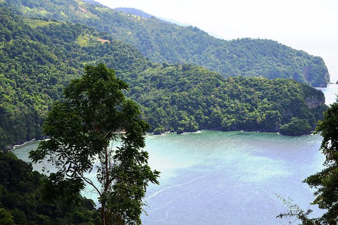 Trinidad Highlights Tour from Port of Spain - The National Museum visit depends on availability
