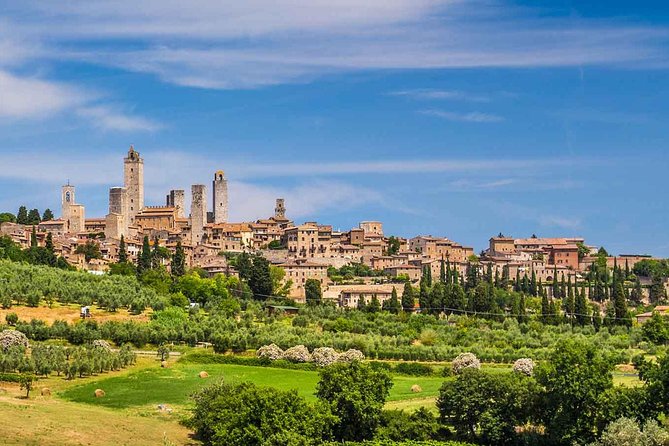 Tuscany countryside from Livorno: Private Volterra, San Gimignano & Wine Tasting - Who Will Like This Tour Most?