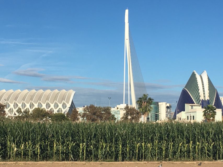 Valencia: Private 4-Hour Shore Excursion - Entering Ciutat Vella and the medieval center
