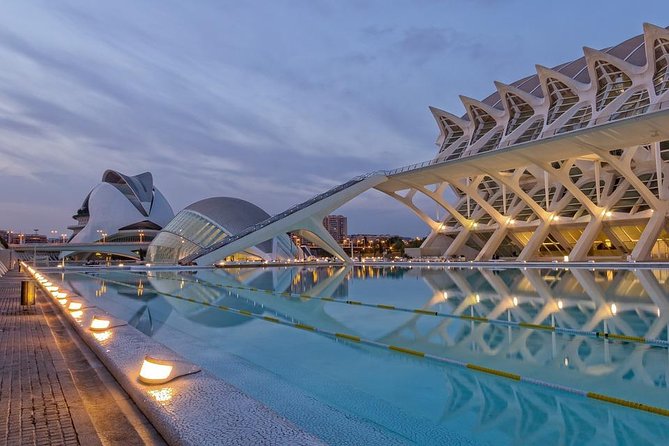Valencia Private Tour with Hotel or Cruise Port Pick up - A useful first look at Valencia in four hours