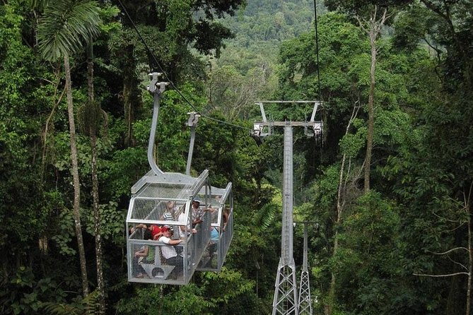 Veragua Rainforest and Tortuguero Canals Shore Excursion - What you actually do at Veragua Rainforest Park